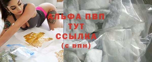 спиды Аркадак