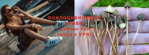 спиды Аркадак